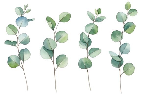 Download Watercolor Eucalyptus Leaves Set - Leaves Collection