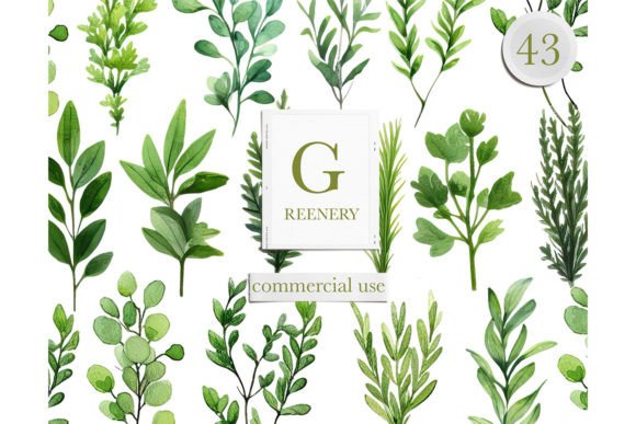 Download Watercolor Greenery Leaves Clipart - Premium Resources