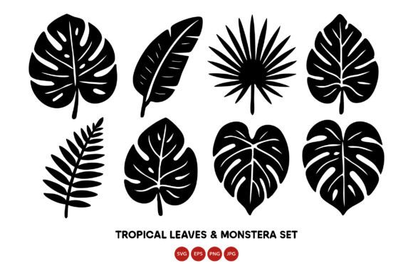 Download Tropical Leaves and Monstera Leaf Vecto - Premium Resources